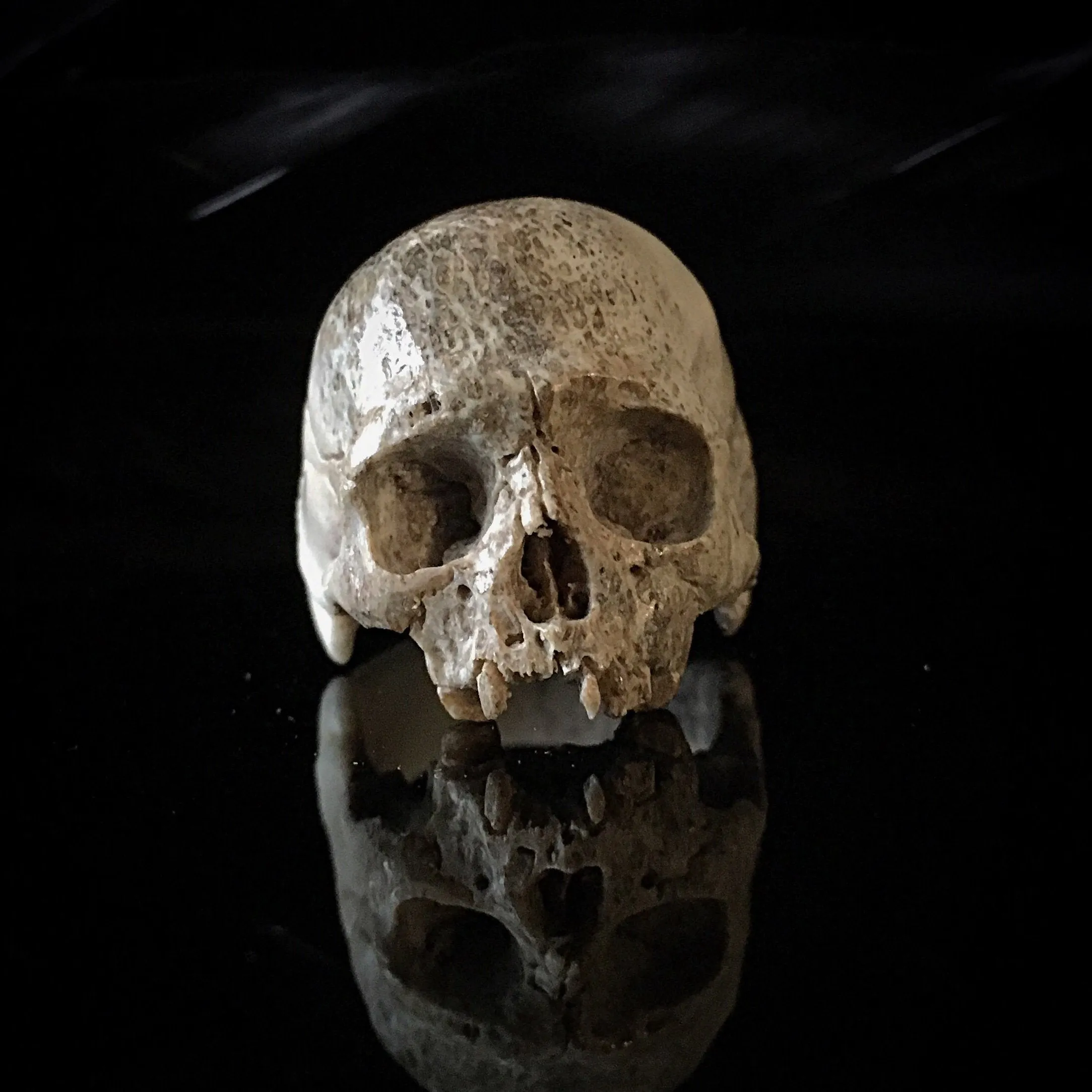 Dark Decay Skull Ring