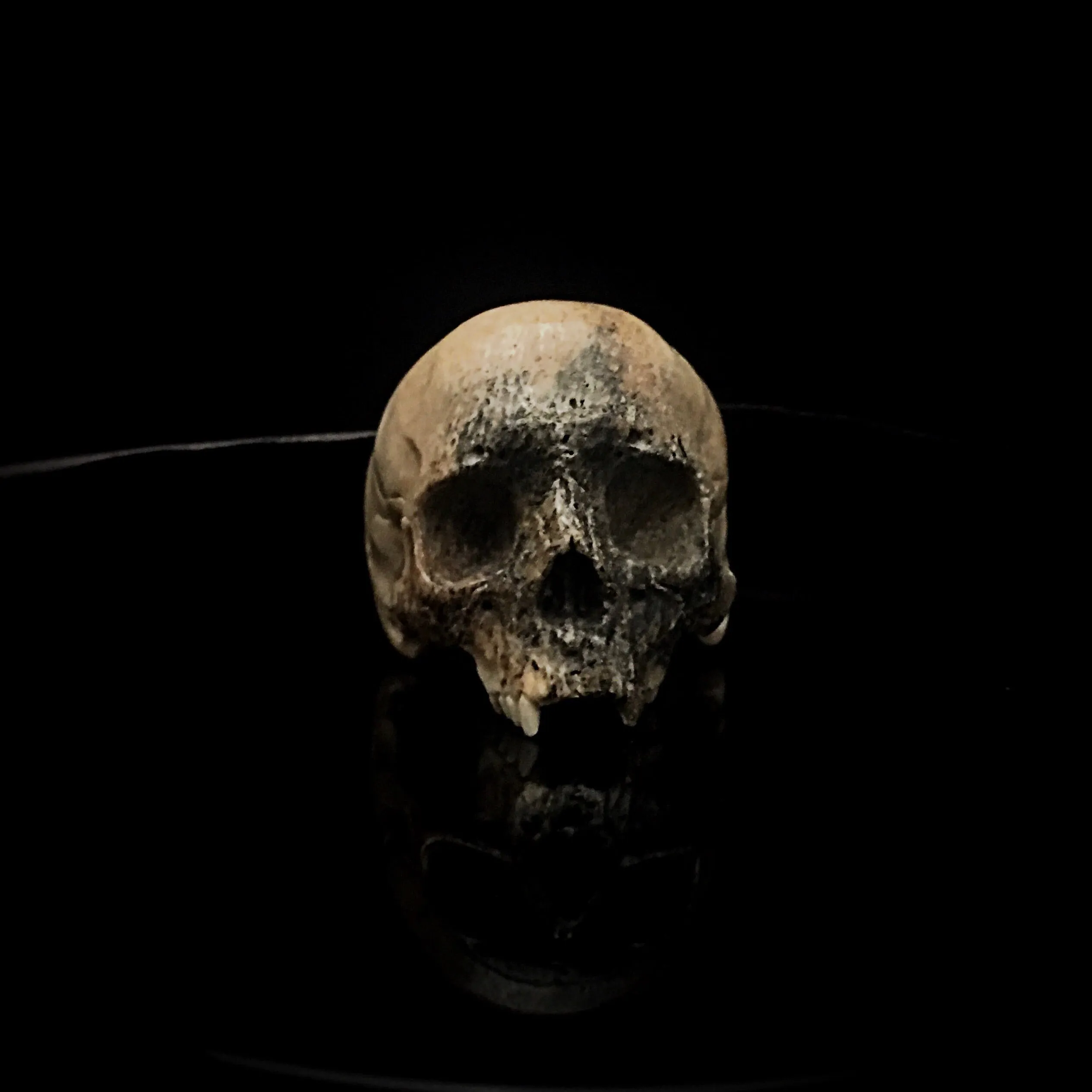 Dark Decay Skull Ring