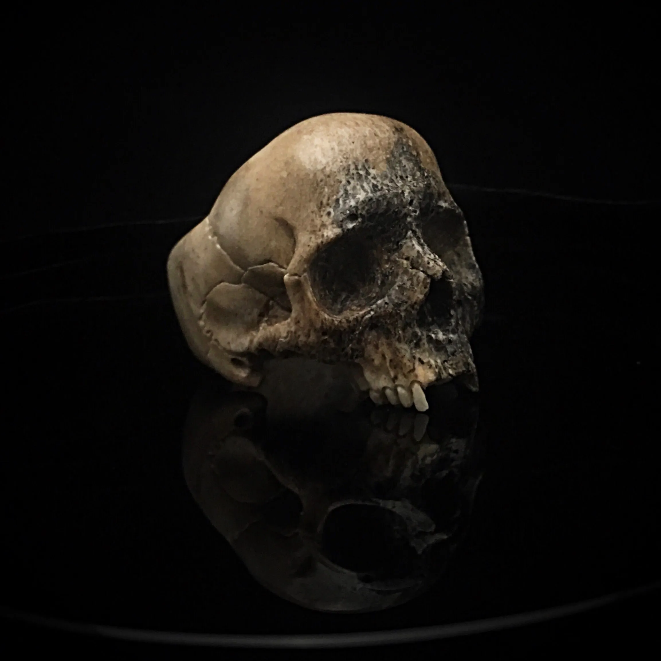 Dark Decay Skull Ring