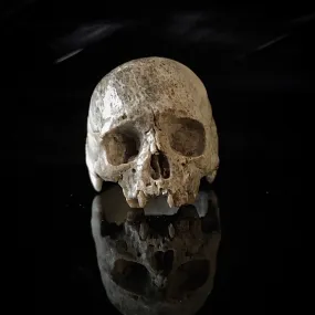 Dark Decay Skull Ring