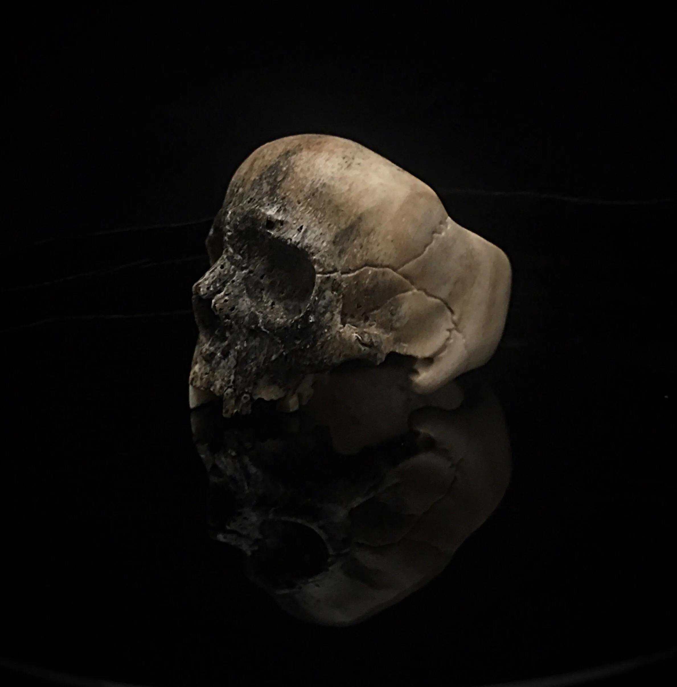 Dark Decay Skull Ring