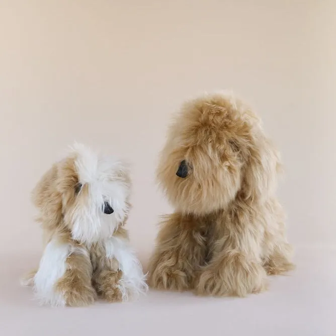 Toy Dog - Suri - Medium